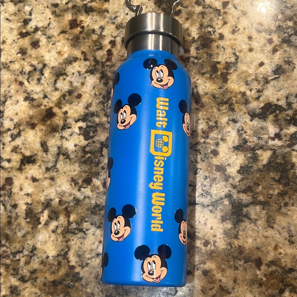 Disney stainless steel water bottle